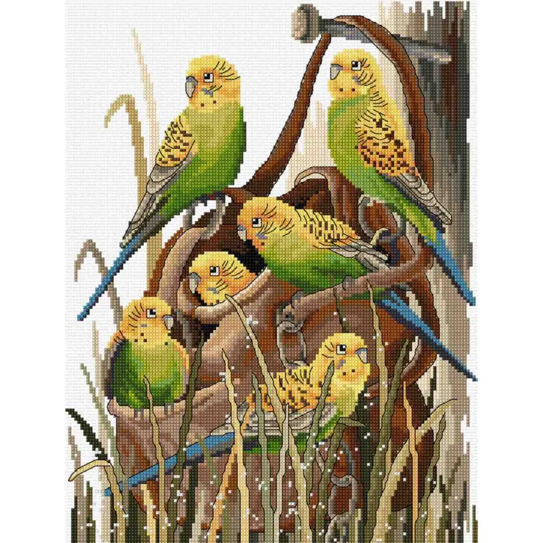 Country Threads: Counted Cross Stitch - Bush Budgies
