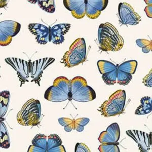 Northcott Fabrics: Something Blue - 25081-11