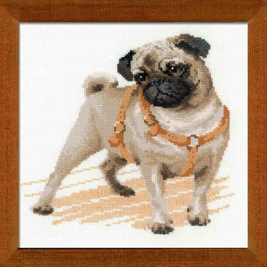 Riolis: Counted Cross Stitch - Pug Dog