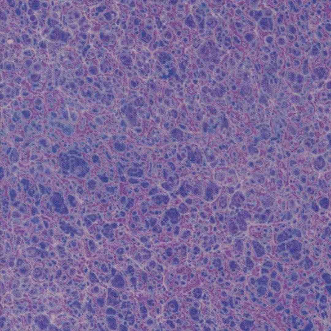 Moda: Curated in Color - Purple 7462 17