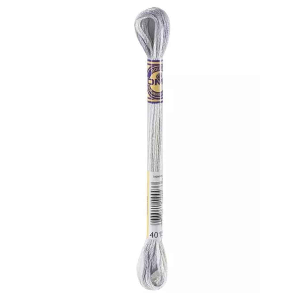 DMC: Variations Embroidery Cotton - #4015