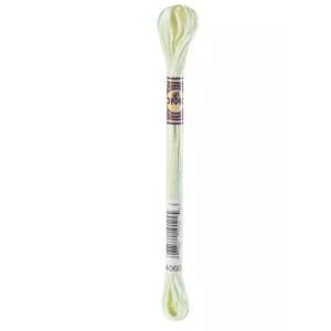 DMC: Variations Embroidery Cotton - #4060