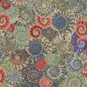 Kaffe Fassett: August 2024 Collective - Ammonites, Neutral