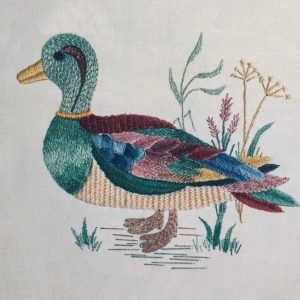 Roseworks Embroidery Design: Duck – Pink & Green