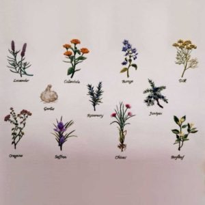 Roseworks Embroidery Design: Herb Sampler