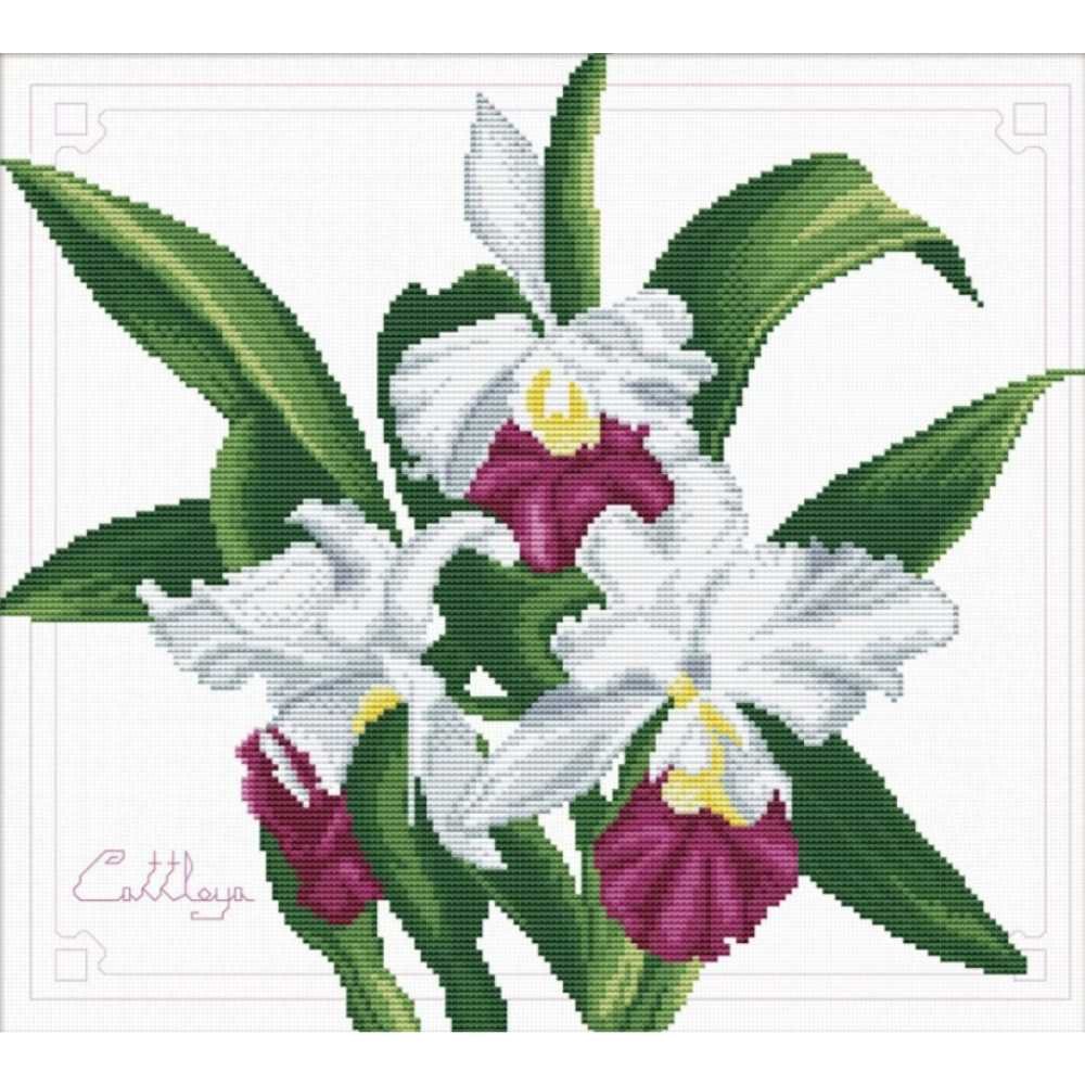 NeedleArt: No-Count Cross Stitch - Bouquet of Orchids