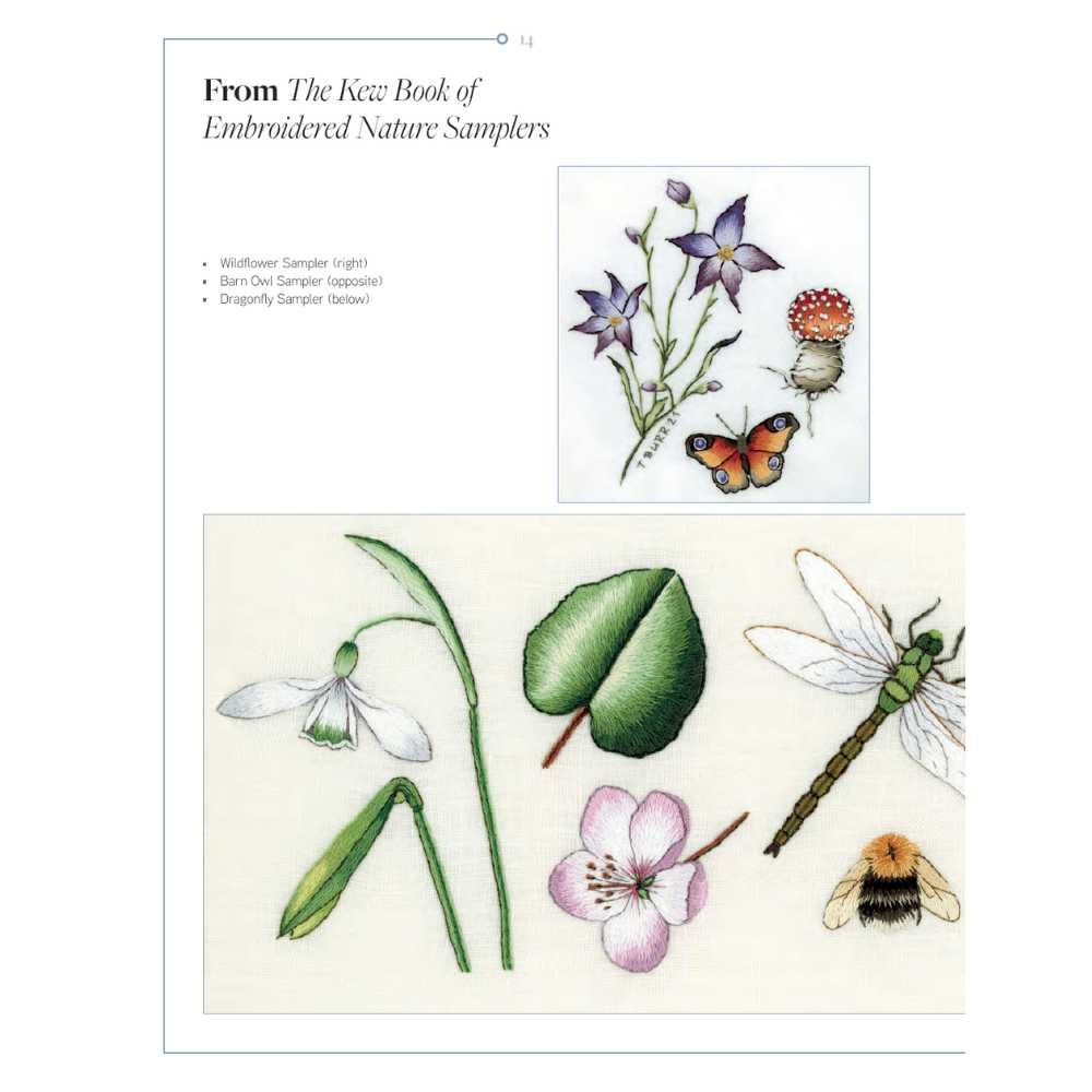 Search Press: Trish Burrs Nature Embroidery Transfers - Image 7