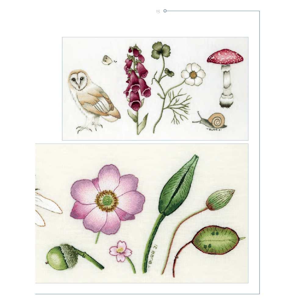 Search Press: Trish Burrs Nature Embroidery Transfers - Image 8