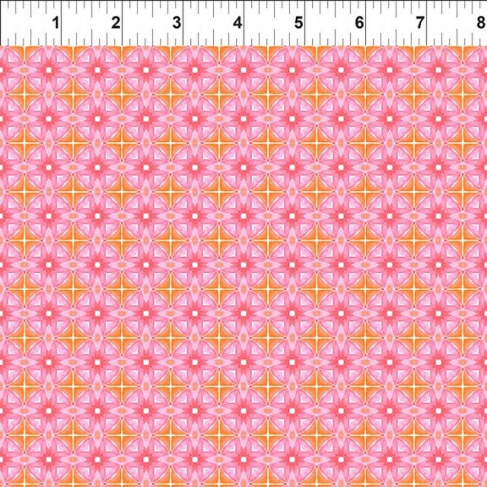 In the Beginning: Dragon Friends - 6DF-1 - Image 2