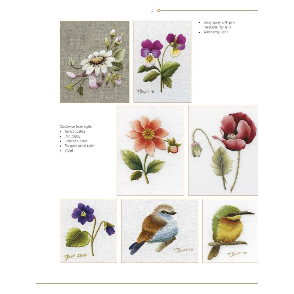 Search Press: Trish Burrs Embroidery Transfers - Image 7