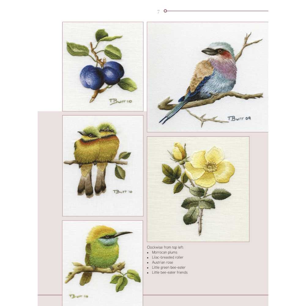 Search Press: Trish Burrs Embroidery Transfers - Image 9