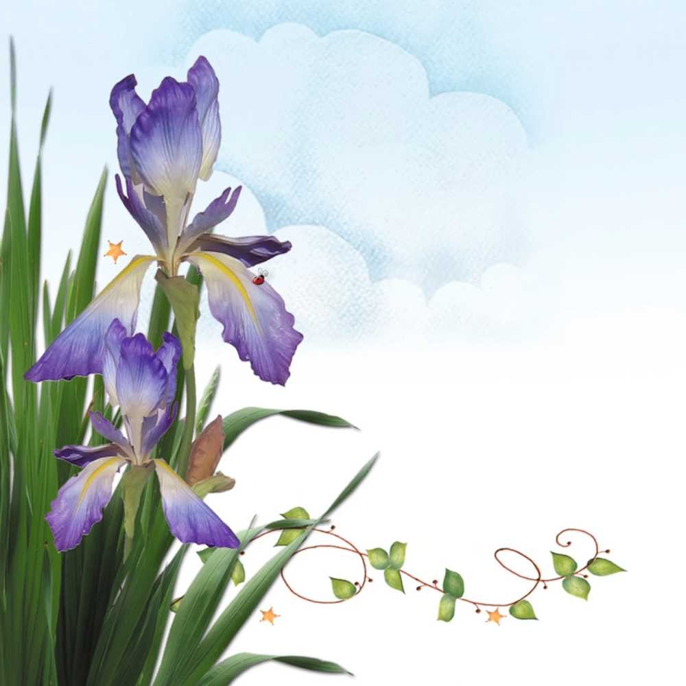 Jody Houghton Designs: Fabric Quilt Label - Iris
