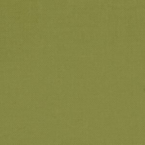 Devonstone Collection: Solids - Pine Tree