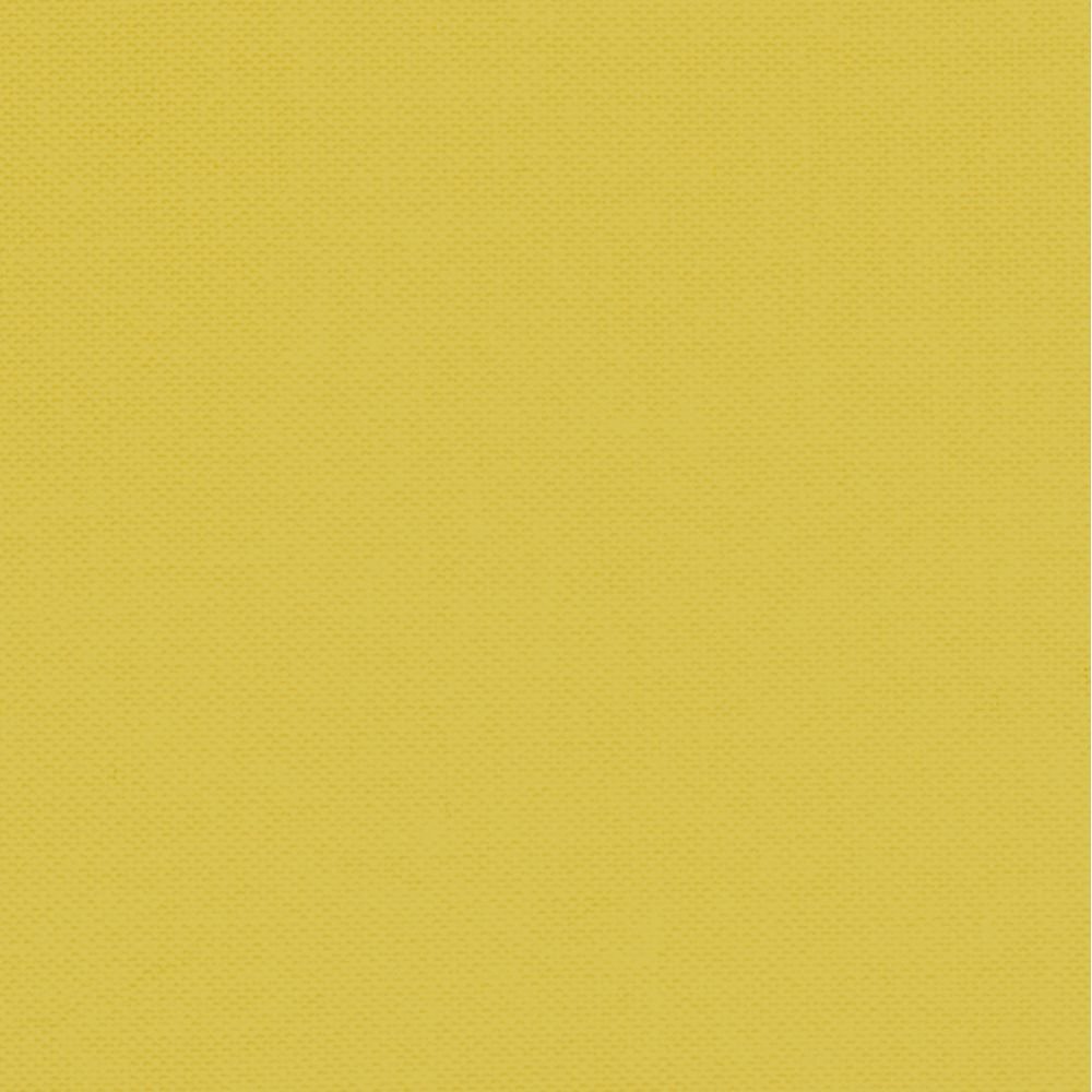 Devonstone Collection: Solids - Bee Sting