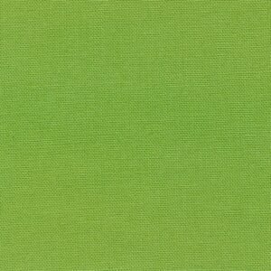 Devonstone Collection: Solids - Coral Green